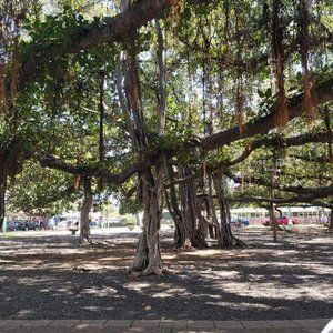 Meet your Posher, Kristina